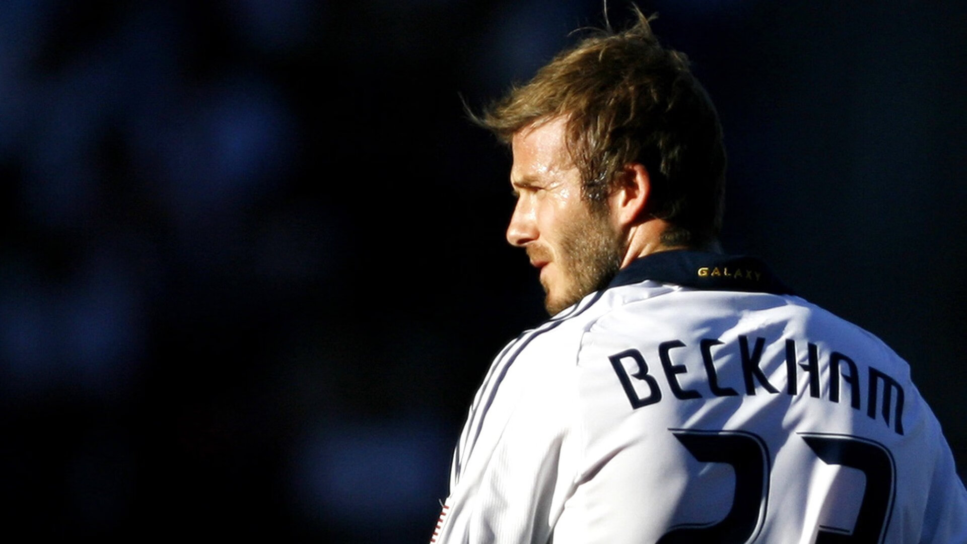 南非羚羊队：以严格的战术执行和精确的配合，统治全场，非洲羚羊种类大全