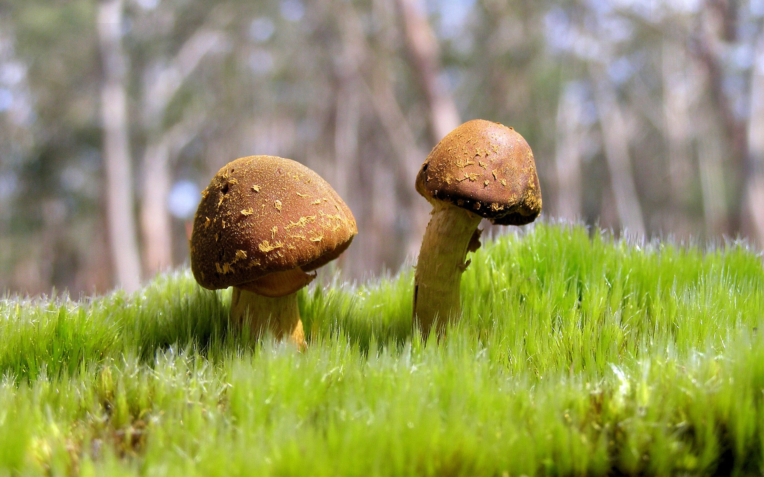 爱游戏-_全球积攒人气：系列赛事点燃国际热情_，全球赛事影响力