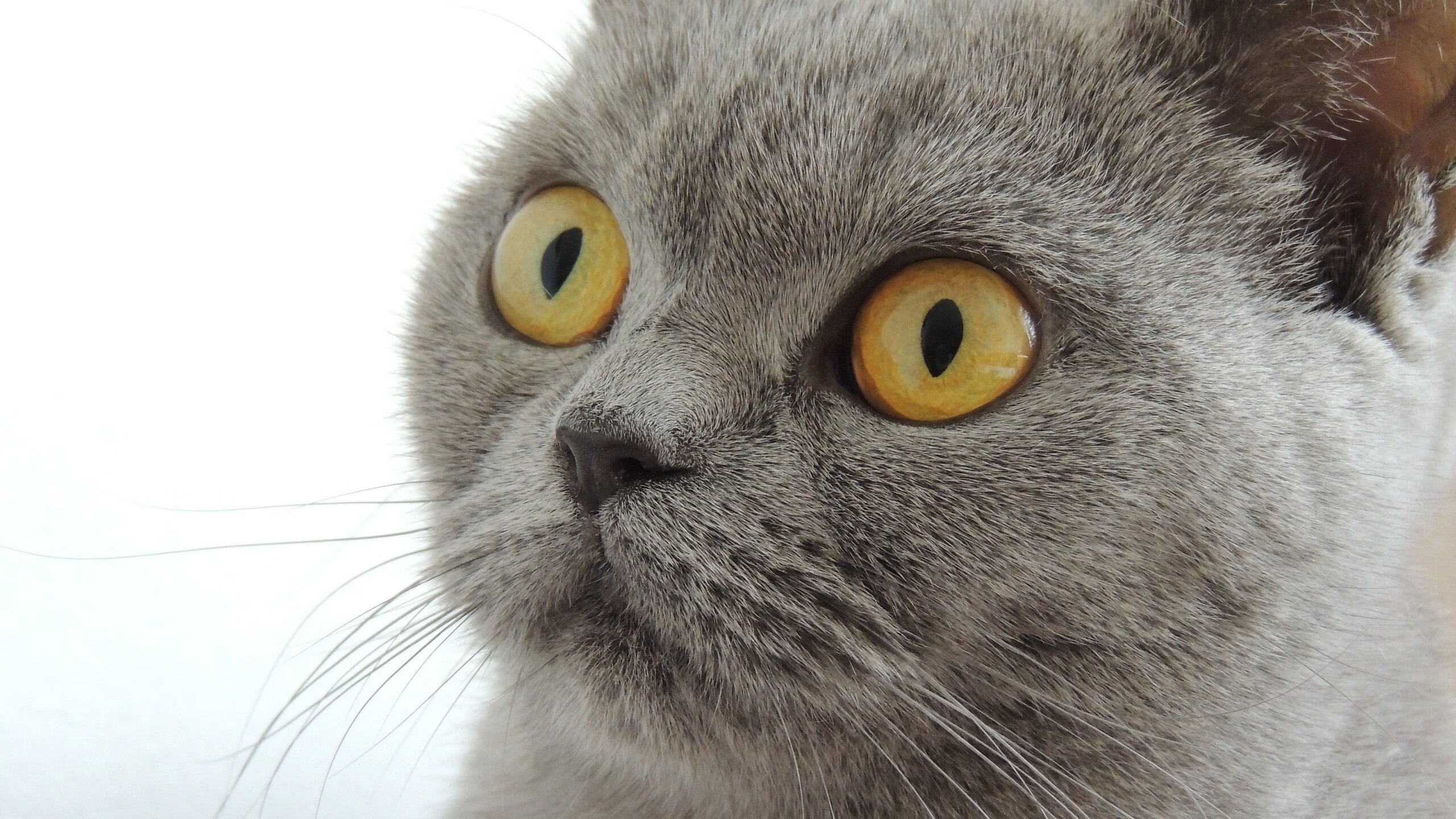 爱游戏中国官方网站平台-_多维场景运动体验：虚拟科技点亮未来_，多维布局