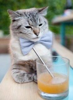 “青春铁军”全国青少年篮协志愿者服务队在全国多地立功,助推青训事业